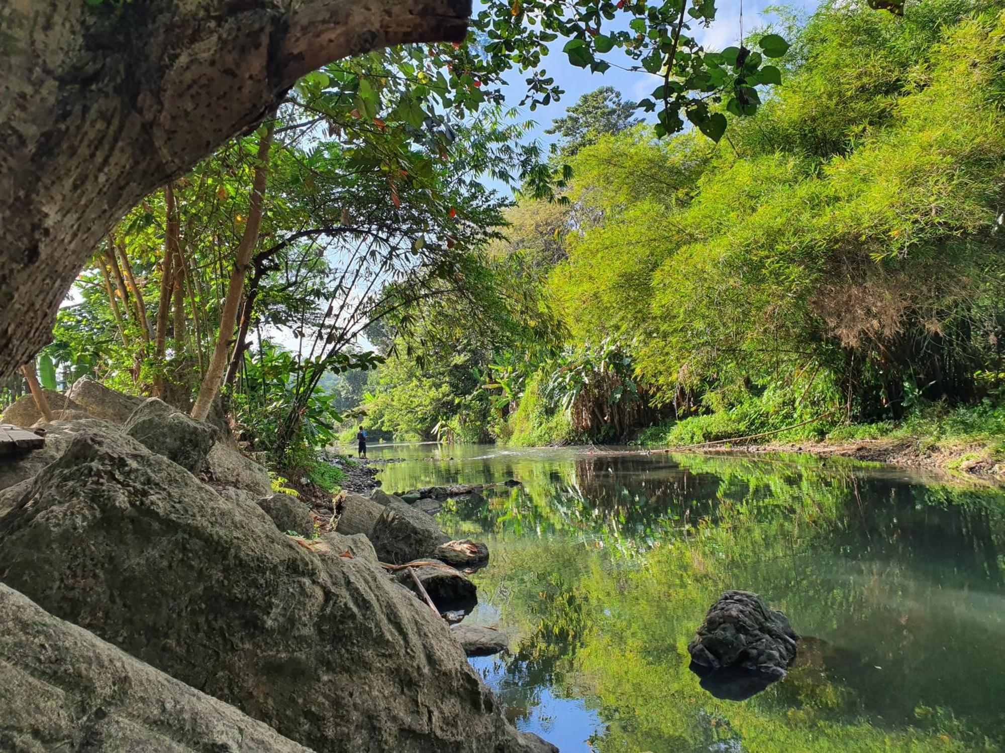 วิลลา อลีเซีย Hotel Maguwo ภายนอก รูปภาพ