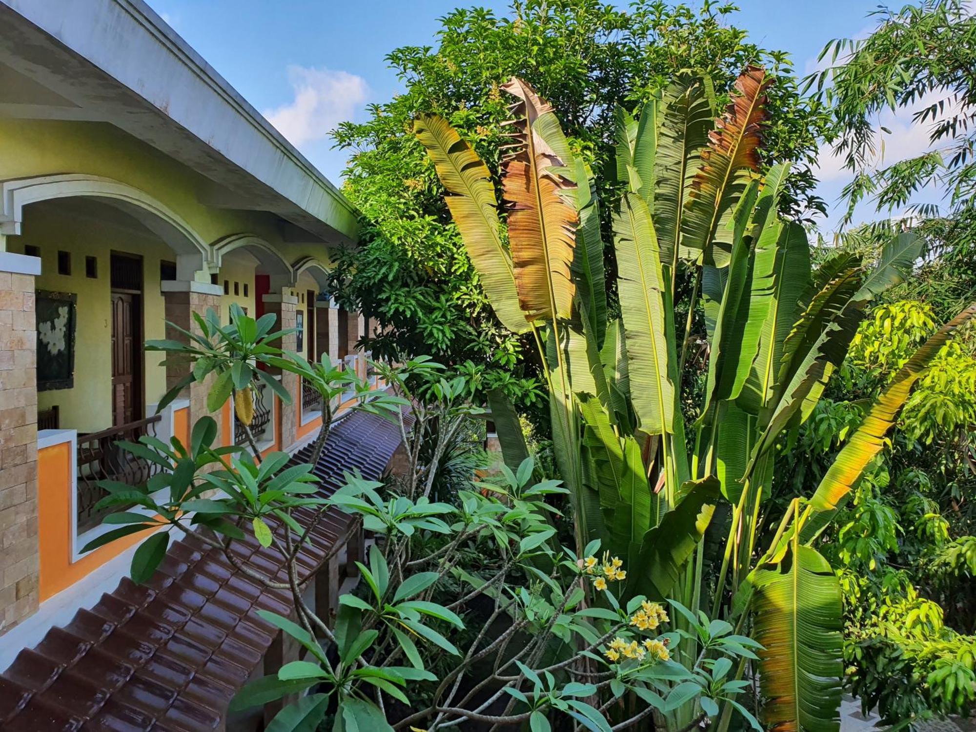 วิลลา อลีเซีย Hotel Maguwo ภายนอก รูปภาพ